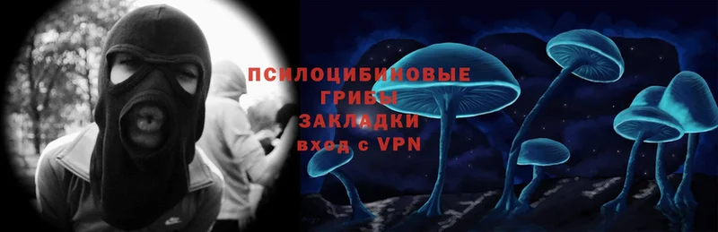 нарко площадка как зайти  Новоалександровск  Галлюциногенные грибы Psilocybine cubensis  дарнет шоп 